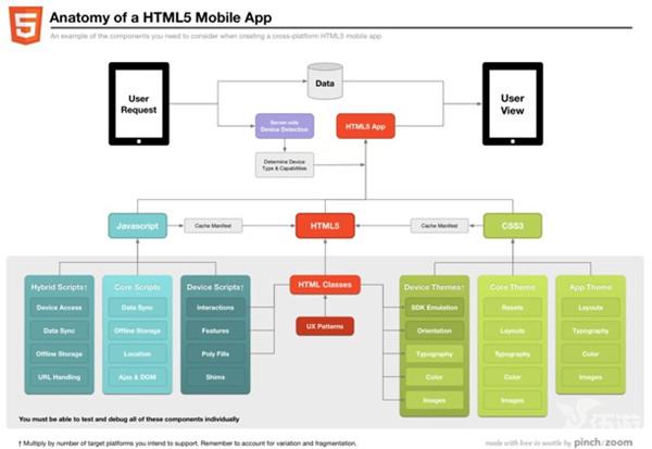 Anatomy_HTML51.jpg