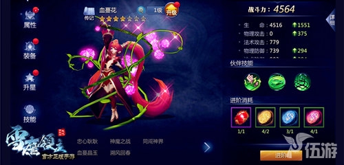 图2血蔓花.jpg