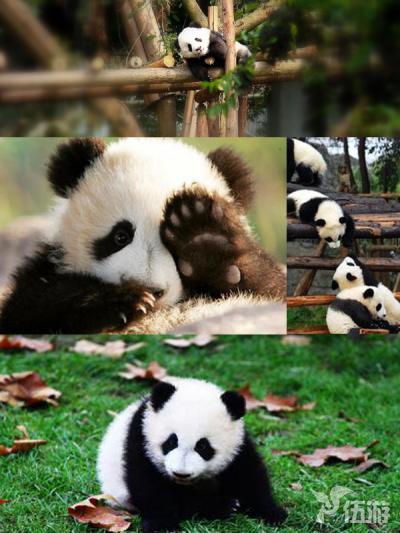 图片10.jpg