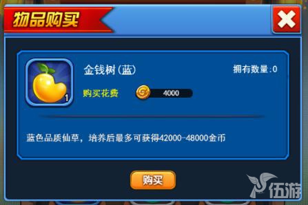 图4-金钱树.jpg
