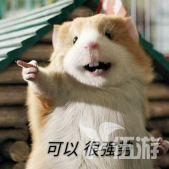 15.png